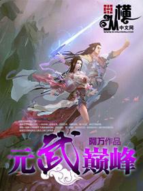 元武巅峰txt