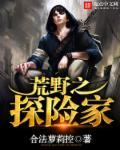 荒野探险家攻略全流程图文
