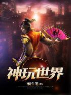 神世界游戏模拟器攻略