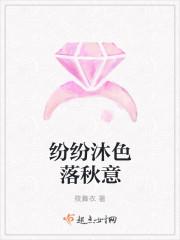 纷纷落落是什么意思