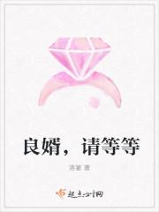 良婿无弹窗