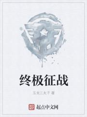 终极征服电视剧