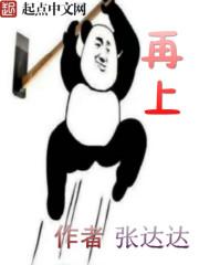 拳击拳王