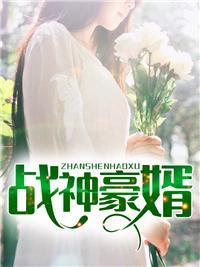 主角是洛辰的