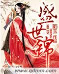 盛世锦嫁全文txt免费