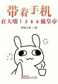 带着手机做王妃完结版