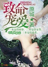 致命宠爱总裁的秘密情人免费阅读