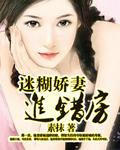 迷糊娇妻进错门电子书