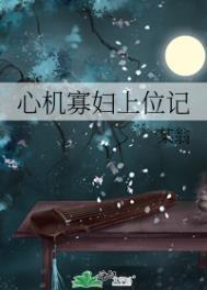 心机寡妇上位记讲的是什么