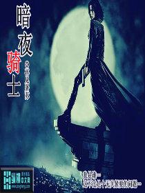 暗夜骑士2动画全集