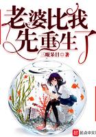 老婆比我还有钱重生全文阅读