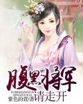 腹黑将军俏公主
