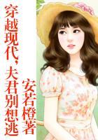 穿越王妃夫君别
