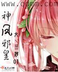 神妃斗邪皇