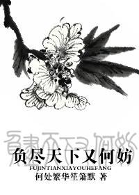 负尽天下又何妨的视频