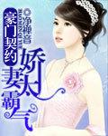 豪门契约婚姻虐心