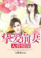 挚爱萌妻入骨情深