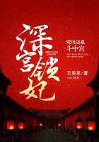 深宫情鸾劫讲的什么
