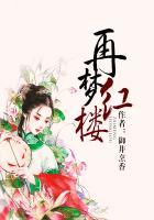 再梦红楼潇湘情第88章