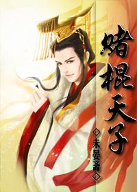 赌棍天子免费阅读
