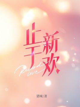 止于新欢